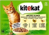 Geflügel Allerlei Angebote von Kitekat bei REWE Hildesheim für 2,99 €