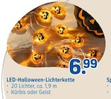 LED-Halloween-Lichterkette Angebote von Ideenwelt bei Rossmann Mönchengladbach für 6,99 €