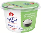 Colruyt Cuisery - Promo Fromage blanc nature Bibeleskaes Promo Fromage blanc nature Bibeleskaes à 1,46 € dans le catalogue Colruyt à Cuisery