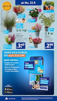 Damen Schlafanzug Angebot im aktuellen ALDI SÜD Prospekt auf Seite 16
