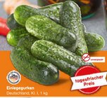 Einlegegurken im Netto Marken-Discount Prospekt Einlegegurken von im aktuellen Netto Marken-Discount Prospekt fĂĽr