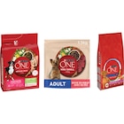 SUR TOUTES LES CROQUETTES POUR CHIEN - PURINA ONE - Carrefour Market à Avignon SUR TOUTES LES CROQUETTES POUR CHIEN - PURINA ONE en promo chez Carrefour Market Avignon