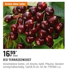 BIO TERRASSENOBST Angebote bei OBI Dinslaken für 16,99 €