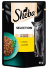Sheba Angebote bei REWE Kerpen für 0,49 €