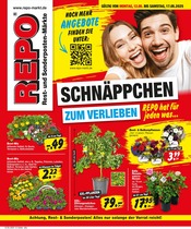 Repo Sonderposten Prospekt der aktuellen Woche mit 12 Seiten, gültig von 12.05.2025 bis 17.05.2025, in Zschopau und Umgebung Aktueller Repo Sonderposten Prospekt in Zschopau und Umgebung, "Aktuelle Angebote" mit 12 Seiten, 12.05.2025 - 17.05.2025