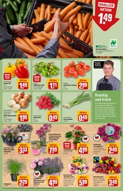 Ähnliche Weihnachtsstern Angebote im Prospekt "Dein Markt" von REWE in Mönchengladbach Ähnliche Angebote wie Weihnachtsstern im Prospekt "Dein Markt" auf Seite 9 von REWE in Mönchengladbach