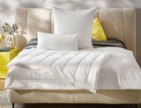 Aktuelle Bettdecke Angebote bei XXXLutz Möbelhäuser in Bonn Aktuelles Ganzjahresbett Angebot bei XXXLutz Möbelhäuser in Bonn ab 39,99 €