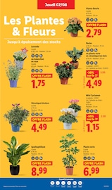 Catalogue Lidl en cours à Paris, "Le vrai prix des bonnes choses", Page 29
