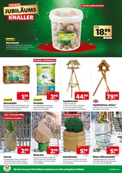 Aktueller Hagebaumarkt Prospekt mit Gartendeko, "UNSERE JUBILÄUMS KNALLER", Seite 20