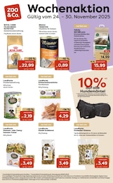 ZOO und Co. Hundefutter im Prospekt ZOO und Co. Hundefutter im Prospekt