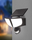 Projecteur solaire à led - LIVARNO HOME dans le catalogue Lidl