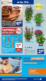 Aktueller ALDI SÜD Prospekt mit Stauden, "Gutes für Alle.", Seite 14