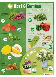 Pflanzen Angebot im aktuellen V-Markt Prospekt auf Seite 3