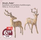 Hirsch „Pado“ im V-Markt Prospekt Hirsch „Pado“ von im aktuellen V-Markt Prospekt für 6,99 €