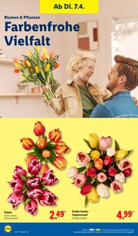 Tulpen im aktuellen Lidl Prospekt (Heilbronn) Tulpen im Lidl Prospekt "LIDL LOHNT SICH" mit 68 Seiten (Heilbronn)