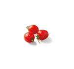 Aktuelles Cherrystrauch-Tomaten Angebot bei Lidl in Saarbrücken ab 2,99 €