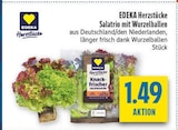 Aktuelle Salat Angebote bei diska in Dresden Aktuelles Salatrio mit Wurzelballen Angebot bei diska in Dresden ab 1,49 €