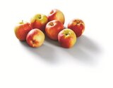 Rote Äpfel im aktuellen Prospekt bei Lidl in Gerlingen