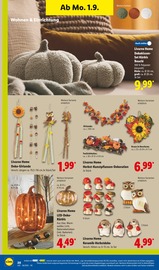 Gartendeko im Lidl Prospekt in Regensburg Aktueller Lidl Prospekt mit Gartendeko, "LIDL LOHNT SICH", Seite 34