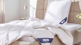 3-Kammer-Kopfkissen im Angebot bei Höffner in Weimar 3-Kammer-Kopfkissen Angebote von Heidelberger Bettwaren bei Höffner Weimar für 59,99 €