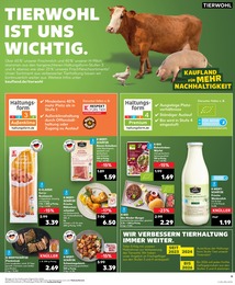 Bockwurst Angebot im aktuellen Kaufland Prospekt auf Seite 17