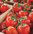 Tomate ronde en grappe - Netto à Poitiers Tomate ronde en grappe en promo chez Netto Poitiers à 1,99 €