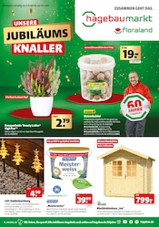 Aktueller Hagebaumarkt Prospekt mit Gartenhaus, "UNSERE JUBILÄUMS KNALLER", Seite 1