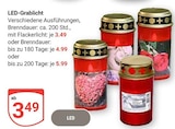 Aktuelle Kerzen Angebote bei GLOBUS in Mannheim Aktuelles LED-Grablicht Angebot bei GLOBUS in Mannheim ab 3,49 €