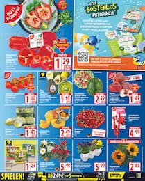 Gartenpflanzen Angebot im aktuellen EDEKA Prospekt auf Seite 3