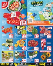 Ähnliche Seerose Angebote im Prospekt "Aktuelle Angebote" von EDEKA Ähnliches Angebot bei EDEKA in Prospekt "Aktuelle Angebote" gefunden auf Seite 3