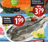 famila Nordost Stralsund Prospekt mit  im Angebot für 1,99 €