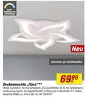 toom Baumarkt Falkensee - Deckenleuchte Flora Angebot im Prospekt Deckenleuchte Flora bei toom Baumarkt im Falkensee Prospekt für 69,99 €