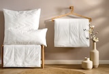 Aktuelle Kopfkissen Angebote bei Möbelzentrum Pforzheim in Stuttgart Aktuelles Sommerbett „Pure Breeze“ Angebot bei Möbelzentrum Pforzheim in Stuttgart ab 29,99 €