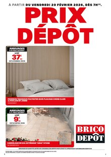 Brico Depot Biganos