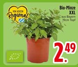 Bio-Minze XXL Angebote bei EDEKA Straubing für 2,49 €