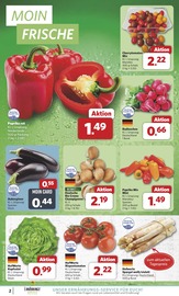 Farbe im combi Prospekt in Dülmen Aktueller combi Prospekt mit Farbe, "Markt - Angebote", Seite 2