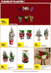 Promos Jacinthes dans le catalogue "Carrefour" de Carrefour à la page 82