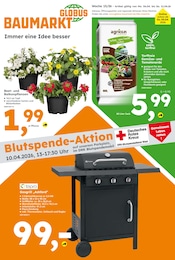 Globus-Baumarkt Prospekt "Immer eine Idee besser" für Marpingen, 16 Seiten, 05.04.2026 - 11.04.2026