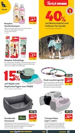 Das Futterhaus Hundebett im Prospekt 