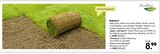 Aktuelles Spiel- und Sport Rollrasen Angebot bei BayWa Bau- und Gartenmärkte in Nürnberg ab 8,99 €