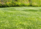 Gartenerde im OBI Prospekt Rasenerde torffrei von GROW by OBI im aktuellen OBI Prospekt für 9,49 €