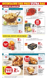 Offre Terreau dans le catalogue Super U du moment à la page 20