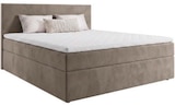 Aktuelle Boxspringbett Angebote bei mömax in Nürnberg Aktuelles BOXBETT „JUPITER PLUS“ Angebot bei mömax in Nürnberg ab 333,00 €
