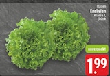 Endivien bei EDEKA im Steinheim Prospekt für 1,99 €
