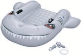 Aufblasbares Kickboard Adventure Angebote von Bestway bei Lidl Saarbrücken für 9,99 €