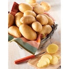 Carrefour Market Conflans-Sainte-Honorine - Promo Pomme de terre de Noirmoutier I.G.P spécial frites maison Promo Pomme de terre de Noirmoutier I.G.P spécial frites maison à 3,49 € dans le catalogue Carrefour Market à Conflans-Sainte-Honorine
