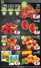 Erdbeeren im EDEKA Prospekt in Borken Aktueller EDEKA Prospekt mit Erdbeeren, "Aktuelle Angebote", Seite 6