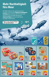 Thunfisch im REWE Prospekt in Meerbusch Aktueller REWE Prospekt mit Thunfisch, "Dein Markt", Seite 15