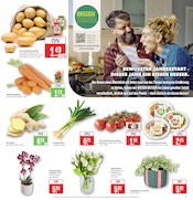 Aktueller Marktkauf Prospekt mit Gemüse, "Aktuelle Angebote", Seite 5