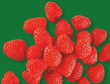 Himbeeren im ALDI Nord Prospekt Himbeeren von im aktuellen ALDI Nord Prospekt für 1,99 €